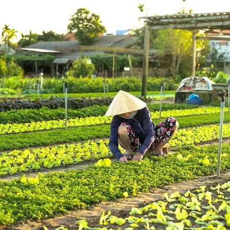 Hoi An Cabbage Garden Exterior foto