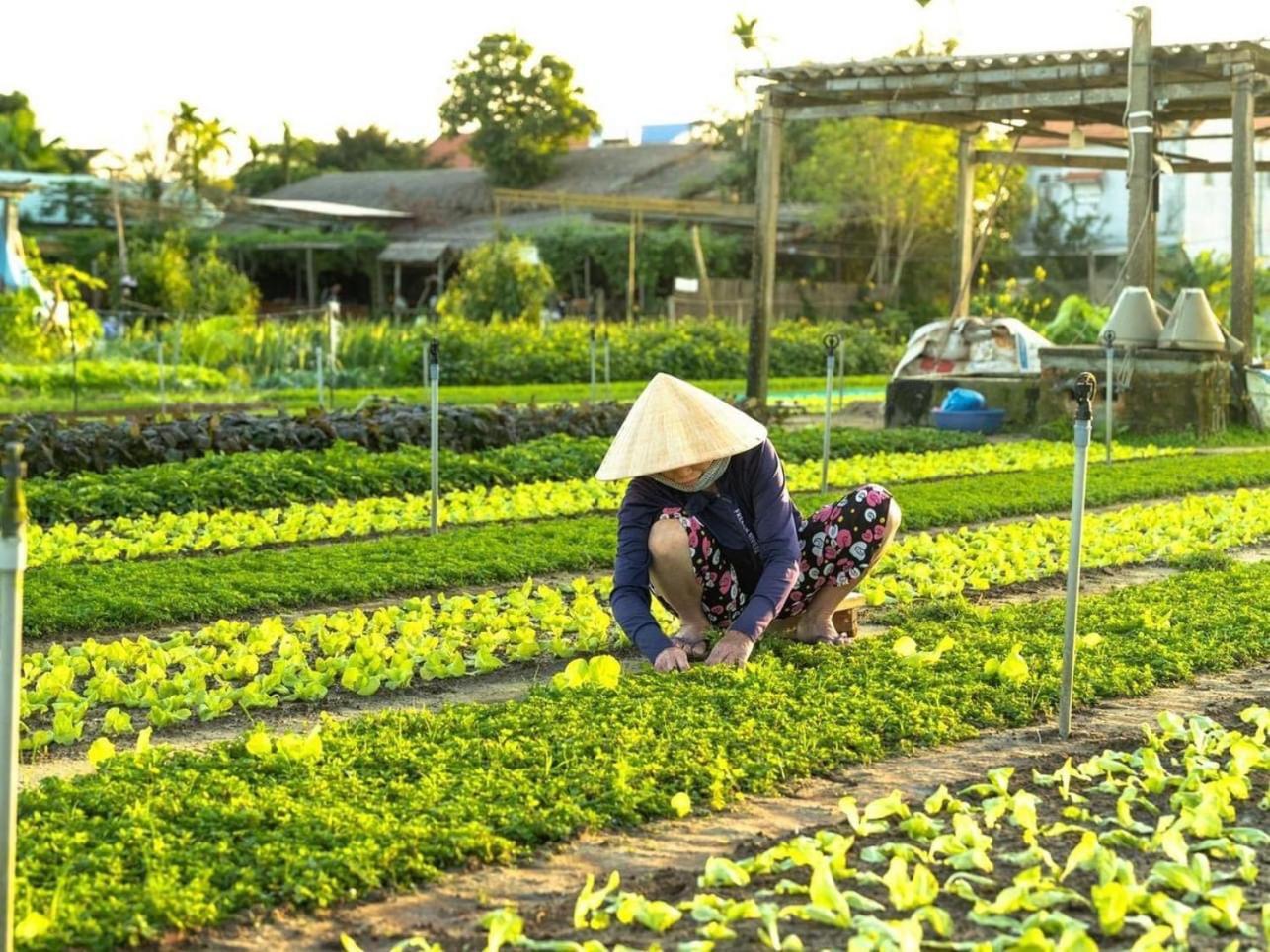 Hoi An Cabbage Garden Exterior foto